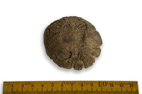 F 09959
<br/>
<br/>
<em></em>